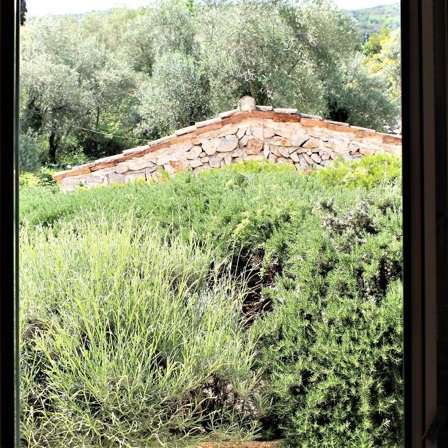 Apartmani Klaudija Valun Exterior photo